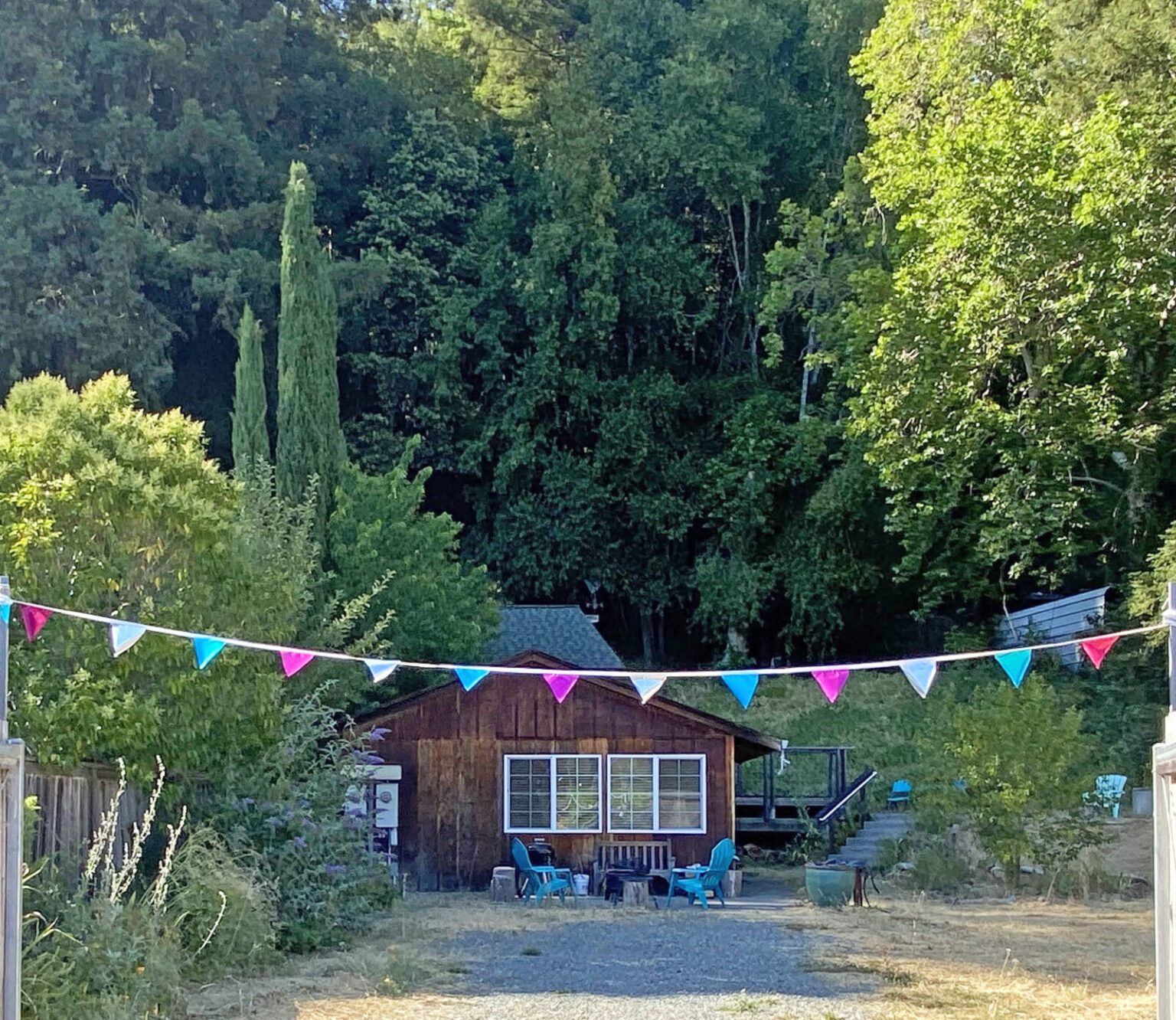 Mugworts Cabin - The Sogorea Te Land Trust